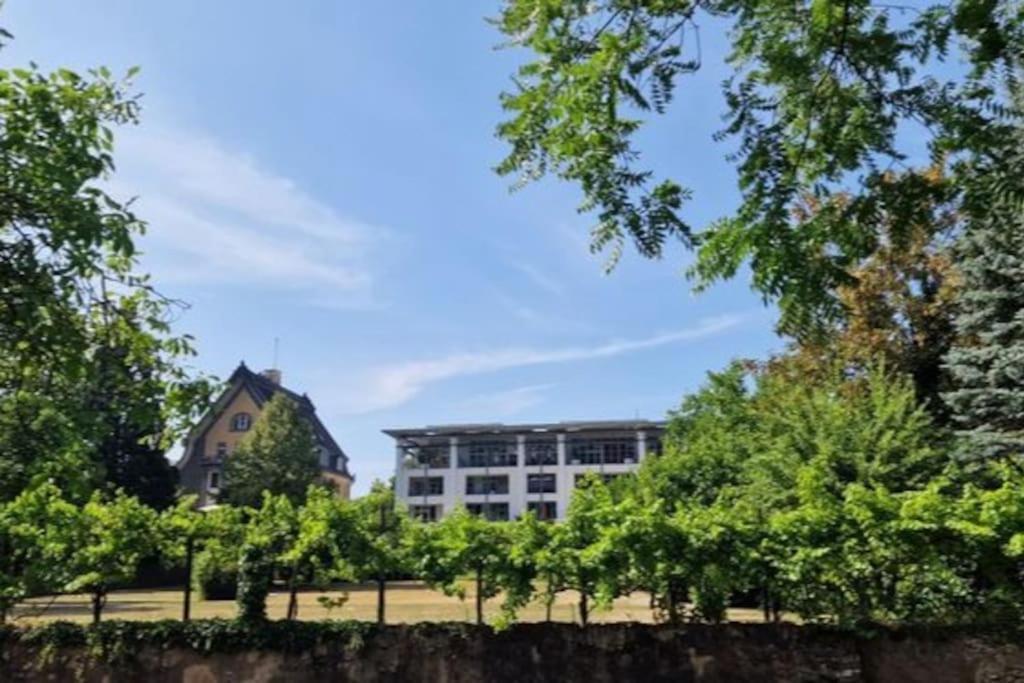 Wohnwerk: Penthouse - Moselblick Apartment Traben-Trarbach Exterior photo